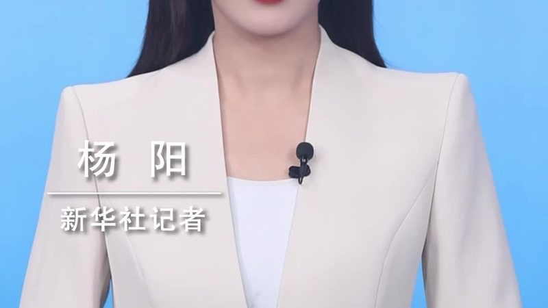 SaaS软件实施：揭秘关键步骤与时间规划